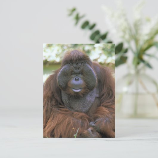 Orangutan Pongo Pygmaeus Briefkaart (Staand voorkant)