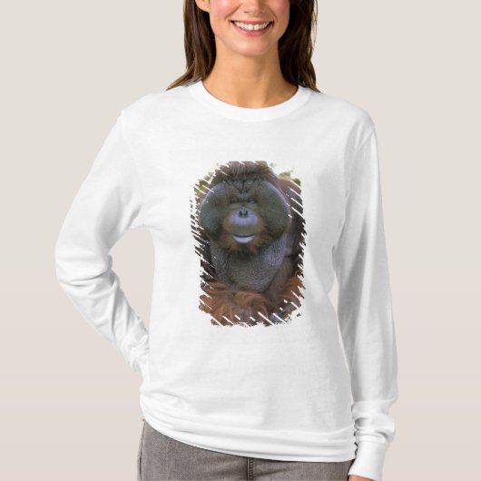 Orangutan Pongo Pygmaeus T-shirt (Voorkant)