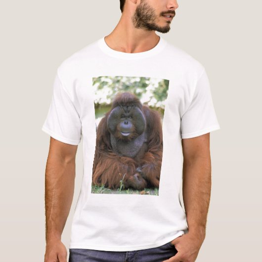 Orangutan Pongo Pygmaeus T-shirt (Voorkant)