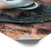 ORANGUTAN POSTER (Hoek)