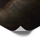 Orangutan Poster (Hoek)