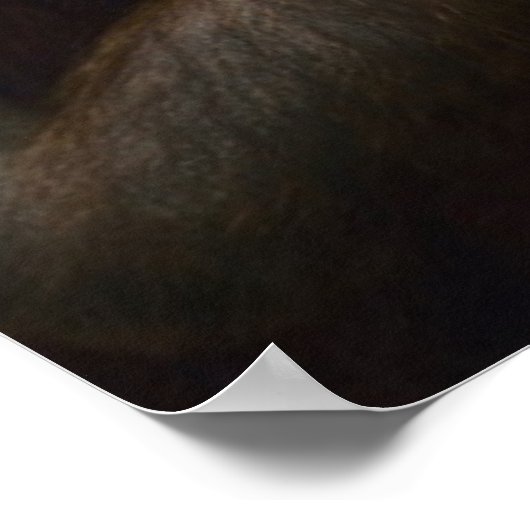 Orangutan Poster (Hoek)