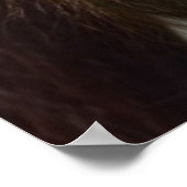 Orangutan Poster (Hoek)