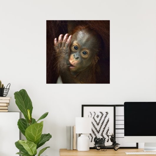 Orangutan Poster (Thuiskantoor)