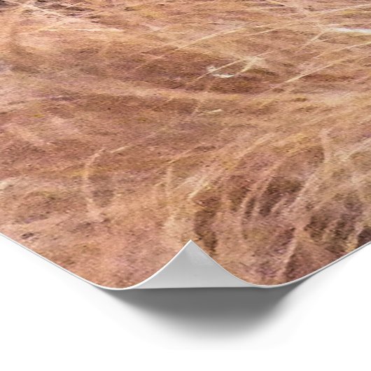 ORANGUTAN POSTER (Hoek)