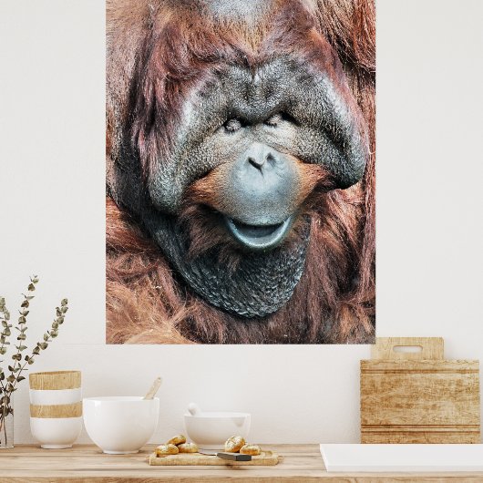ORANGUTAN POSTER (Keuken)
