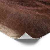 Orangutan Poster (Hoek)