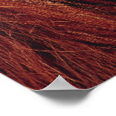 Orangutan Poster (Hoek)