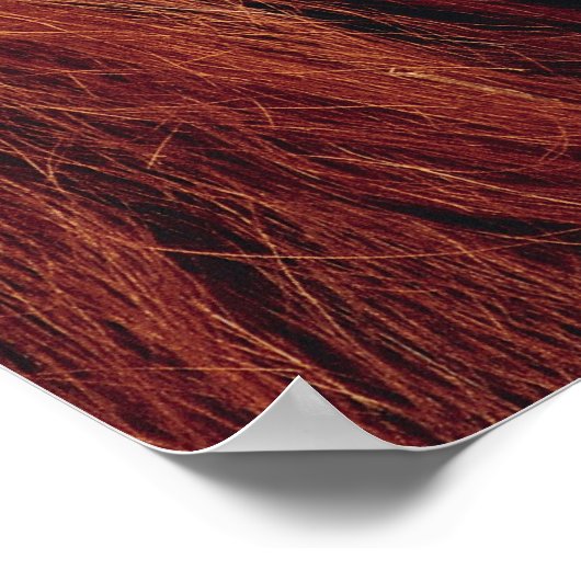 Orangutan Poster (Hoek)