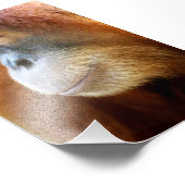 Orangutan Profile Foto Afdruk (Hoek)