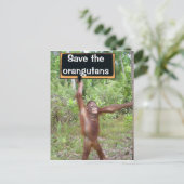 Orangutan Protest Sign Briefkaart (Staand voorkant)