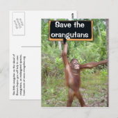 Orangutan Protest Sign Briefkaart (Voorkant / Achterkant)