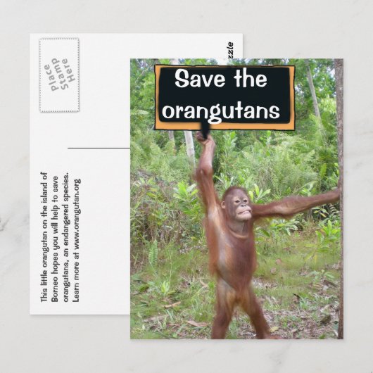 Orangutan Protest Sign Briefkaart (Voorkant / Achterkant)