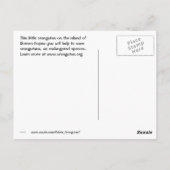 Orangutan Protest Sign Briefkaart (Achterkant)