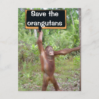 Orangutan Protest Sign Briefkaart