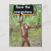 Orangutan Protest Sign Briefkaart (Voorkant)