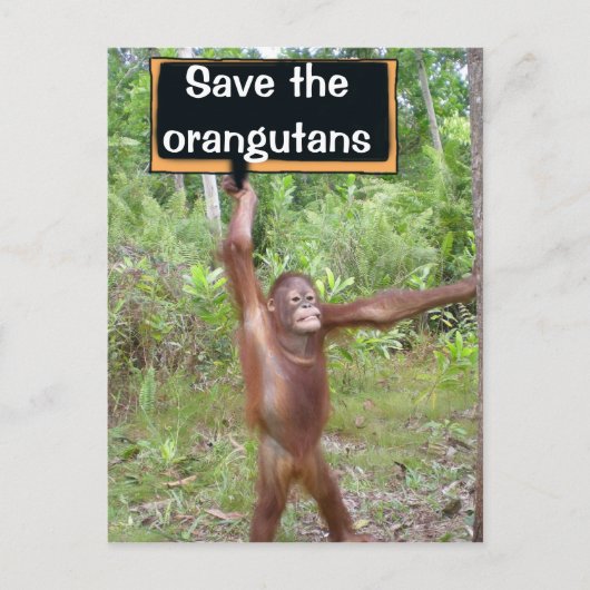 Orangutan Protest Sign Briefkaart (Voorkant)