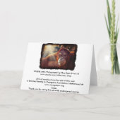 Orangutan & Rainforest Zonlicht Verjaardag Kaart (Achterkant)