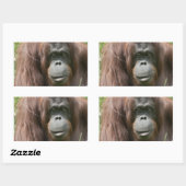 Orangutan Rechthoekige Sticker (Vel)