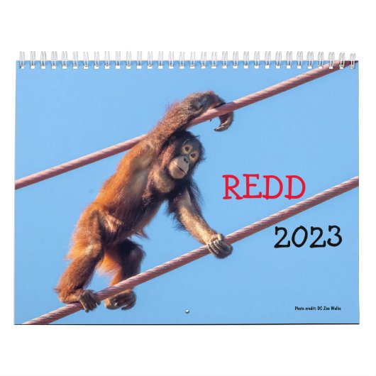 Orangutan Redd 2023 Agenda Kalender (Hoes)