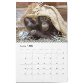 Orangutan Redd 2023 Agenda Kalender (Jan 2026)