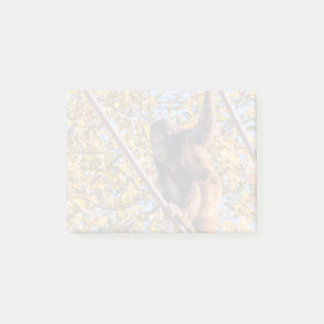 Orangutan Redd bij National Zoo Post-it Notes