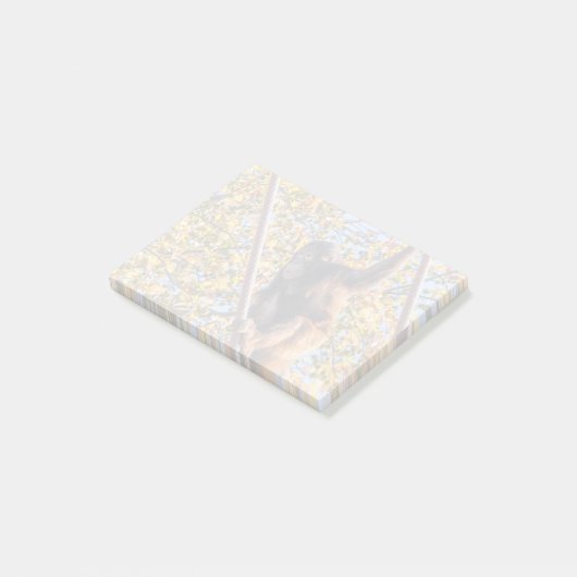 Orangutan Redd bij National Zoo Post-it Notes (Schuin)