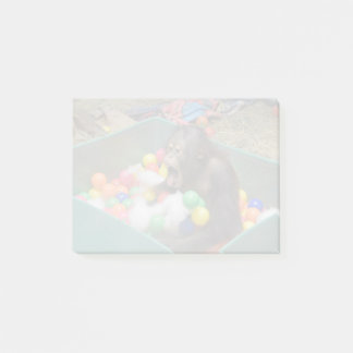 Orangutan Redd bij National Zoo Post-it Notes