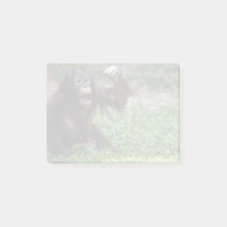 Orangutan Redd in de National Zoo Post-it® Notes
