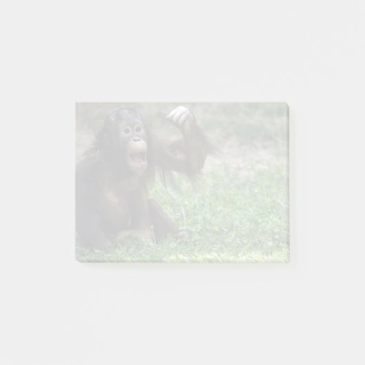 Orangutan Redd in de National Zoo Post-it® Notes (Voorkant)