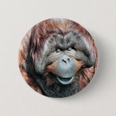 ORANGUTAN RONDE BUTTON 5,7 CM (Voorkant)