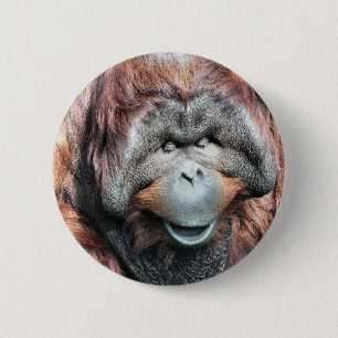 ORANGUTAN RONDE BUTTON 5,7 CM
