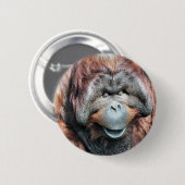 ORANGUTAN RONDE BUTTON 5,7 CM (Voorkant /achterkant)