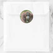 Orangutan Ronde Sticker (Tas)