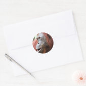 Orangutan Ronde Sticker (Envelop)