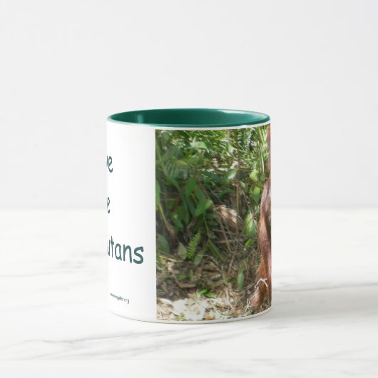 Orangutan Save Great Apes Mok (Midden)