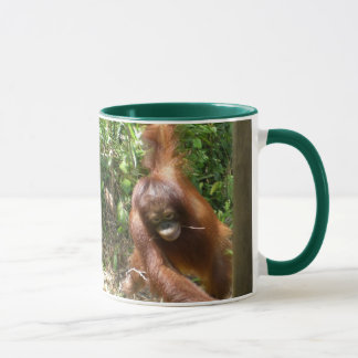 Orangutan Save Great Apes Mok
