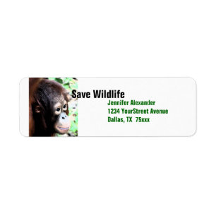 Orangutan Save Wildlife Etiket