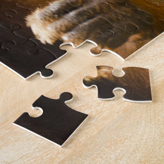 Orangutan Singapore Zoo . Legpuzzel (Zijkant)