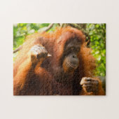 Orangutan Singapore Zoo . Legpuzzel (Horizontaal)