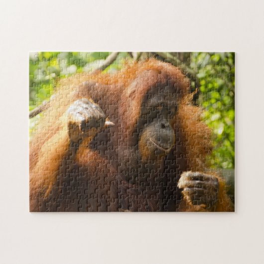 Orangutan Singapore Zoo . Legpuzzel (Horizontaal)