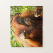 Orangutan Singapore Zoo . Legpuzzel (Verticaal)