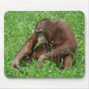 Orangutan Sitting Portrait Mousepad Muismat