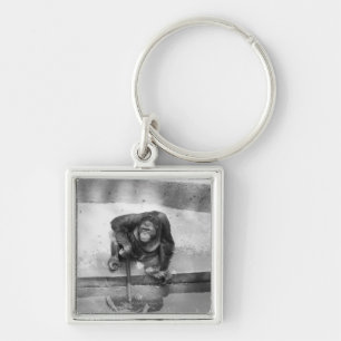 Orangutan Sleutelhanger