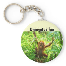 Orangutan