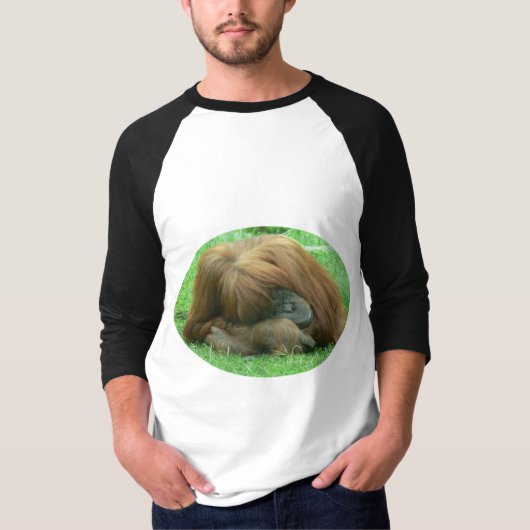 Orangutan Snoozing Mannen Baseball Shirt (Voorkant)