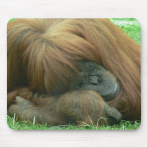 Orangutan Snoozing Muismat