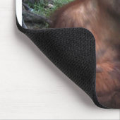 Orangutan Splashes in Water Muismat (Hoek)