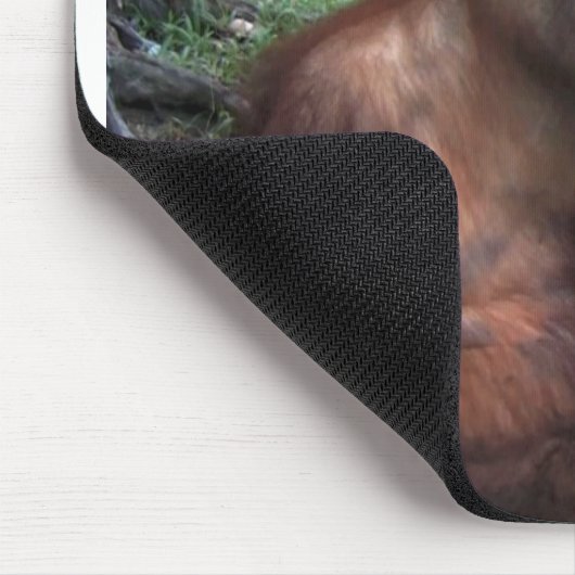 Orangutan Splashes in Water Muismat (Hoek)