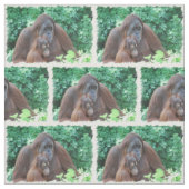 Orangutan Stof (Swatch)